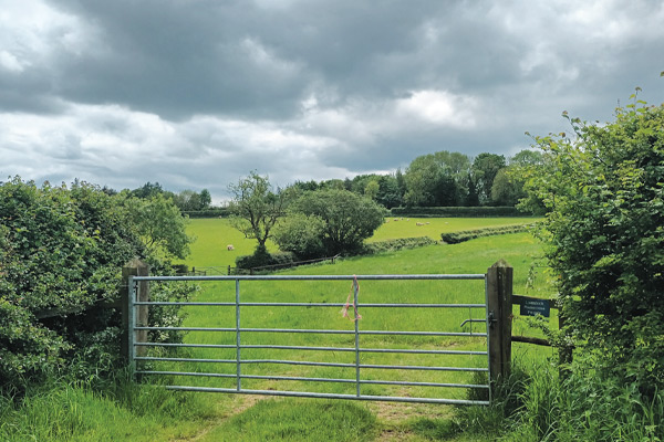 The Active Magazine | Stamford & Rutland | Walks